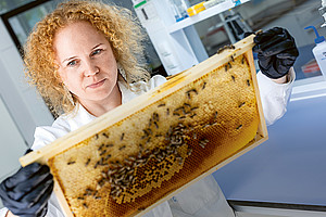 Dalial Freitak mit Bienenwabe
