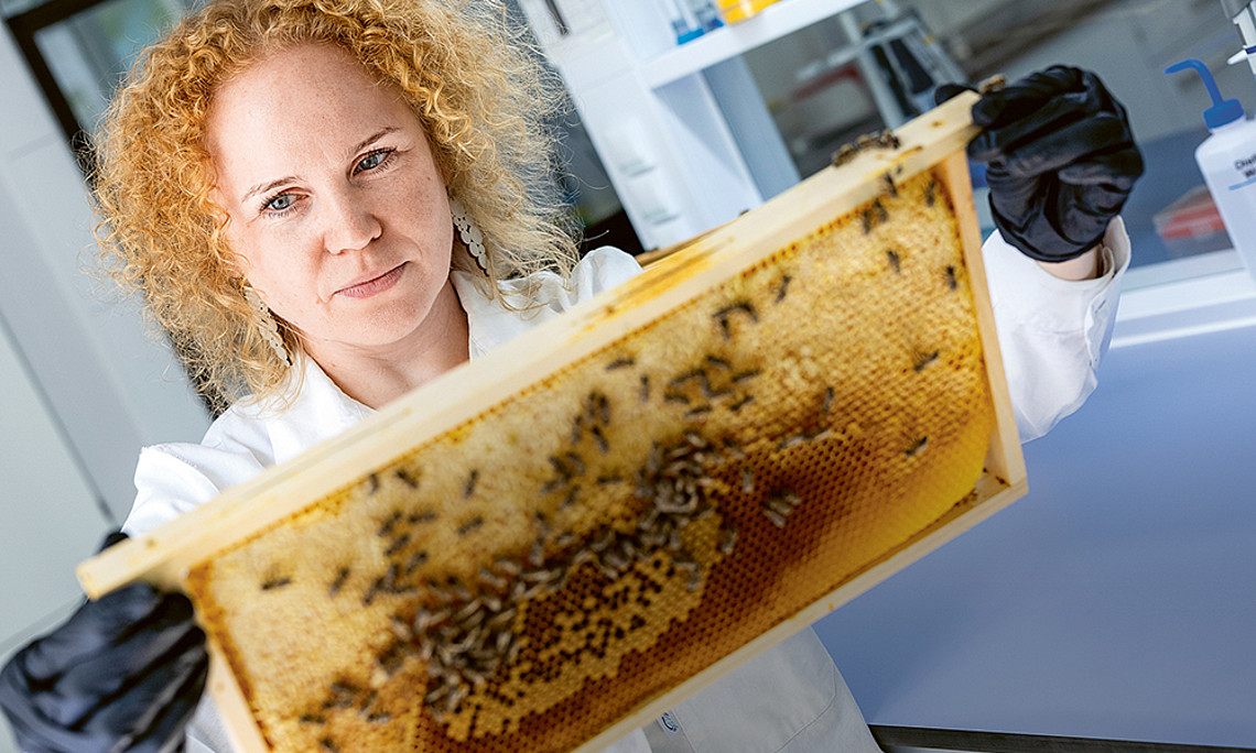 Dalial Freitak mit Bienenwabe