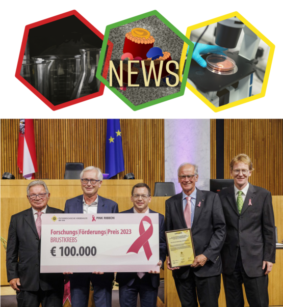 Brustkrebs-Forschungspreis Verleihung