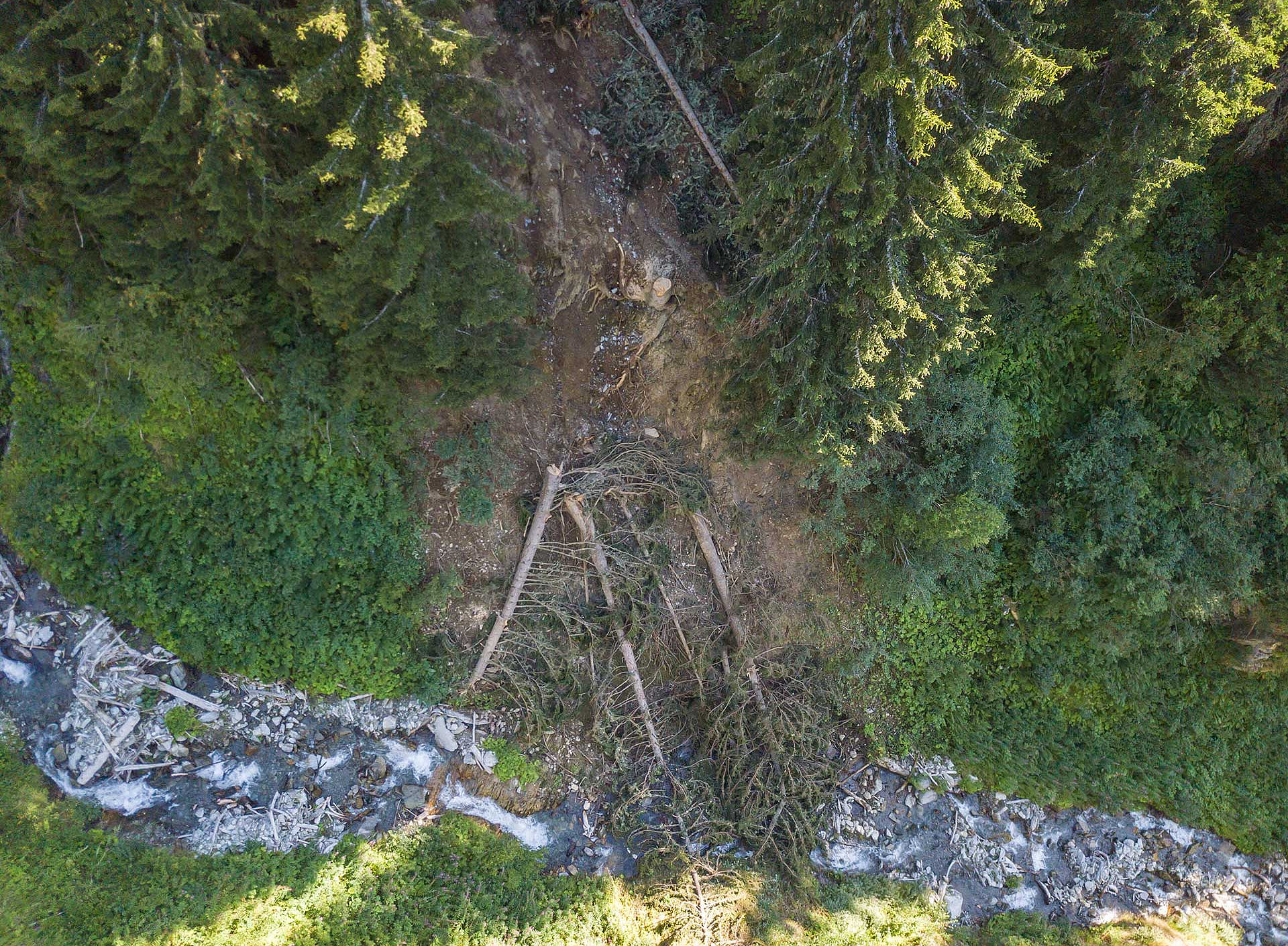 Murenabgang in den Alpen 