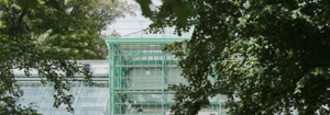 Bäume vor dem Botanischen Garten ©SCHREYER DAVID