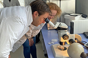 Franz Mayr-Melnhof-Saurau steht neben Dalial Freitak in ihrem Labor und schaut in ein Mikroskop.