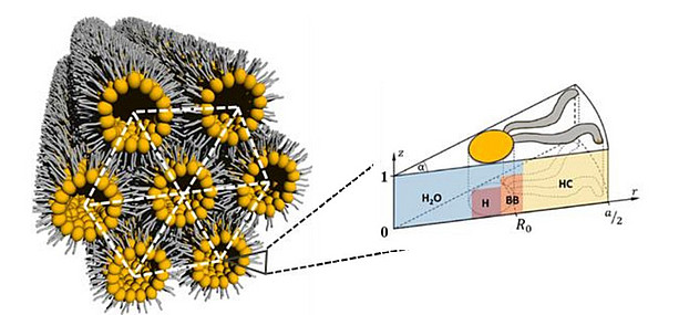 Analyse von hexagonalen Phasen 