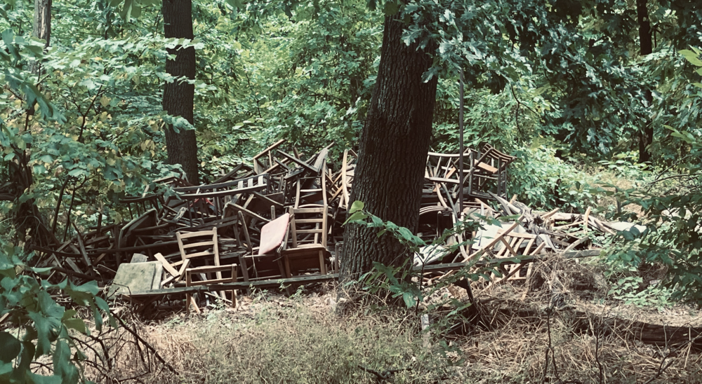 Alte ausrangierte Sessel und anderer Muell in einem Wald ©Hanna Stein