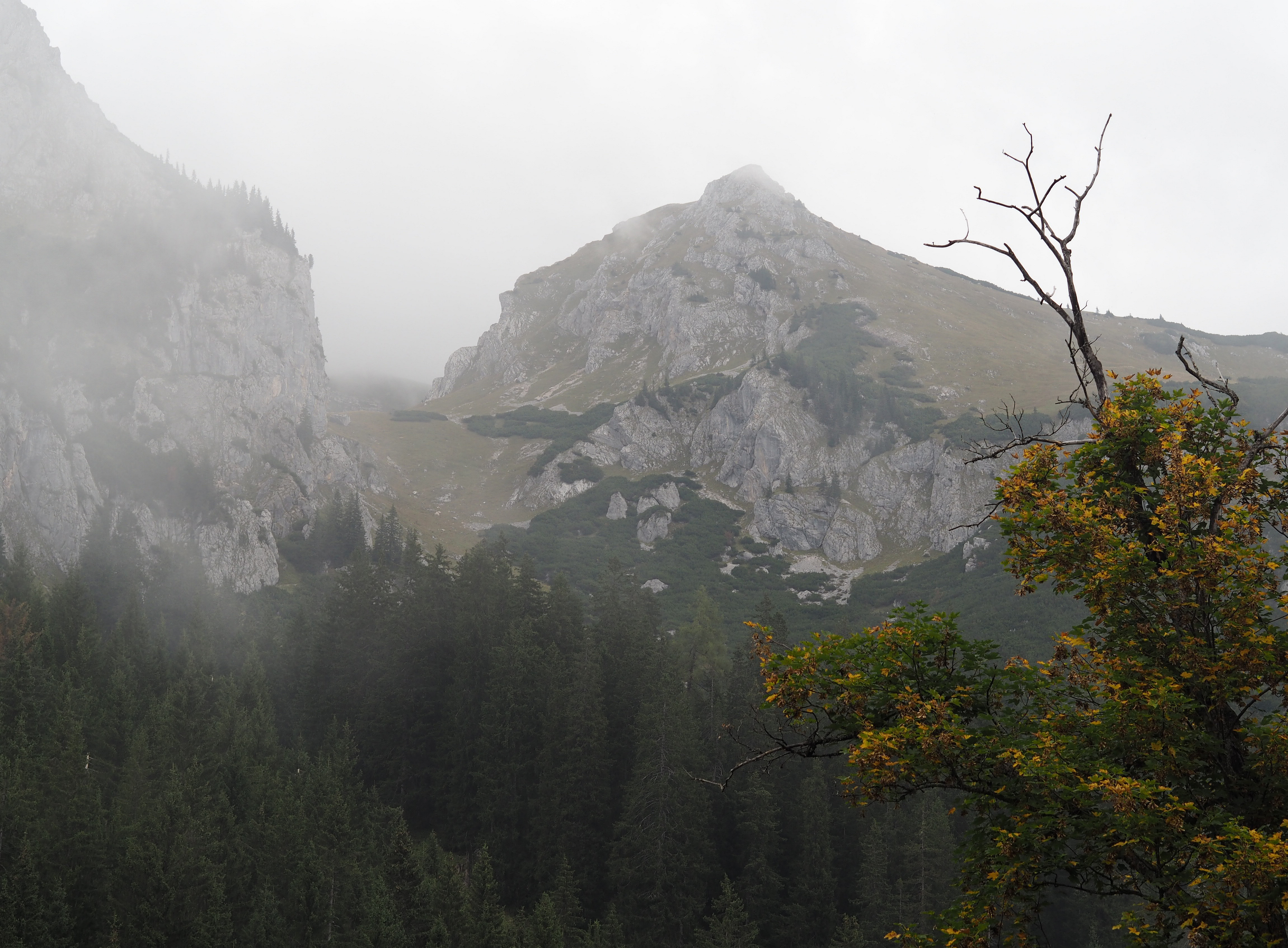 Nebelverhangene Berge im Nationalpark Gesäuse in der Steiermark. 