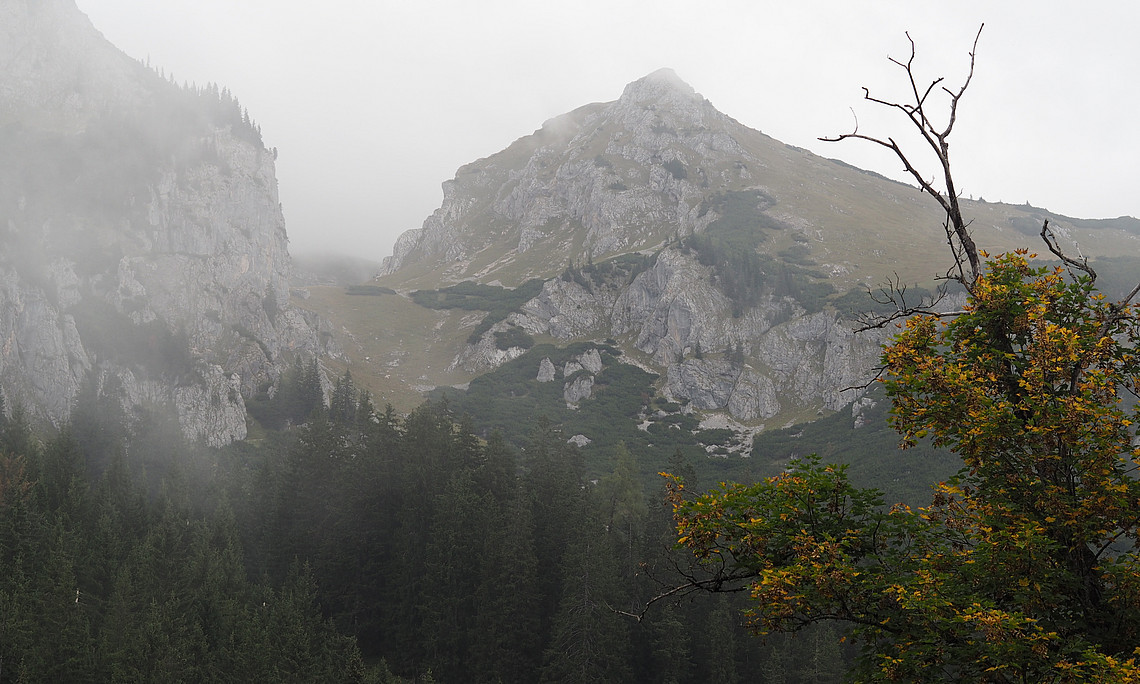 Nebelverhangene Berge im Nationalpark Gesäuse in der Steiermark.