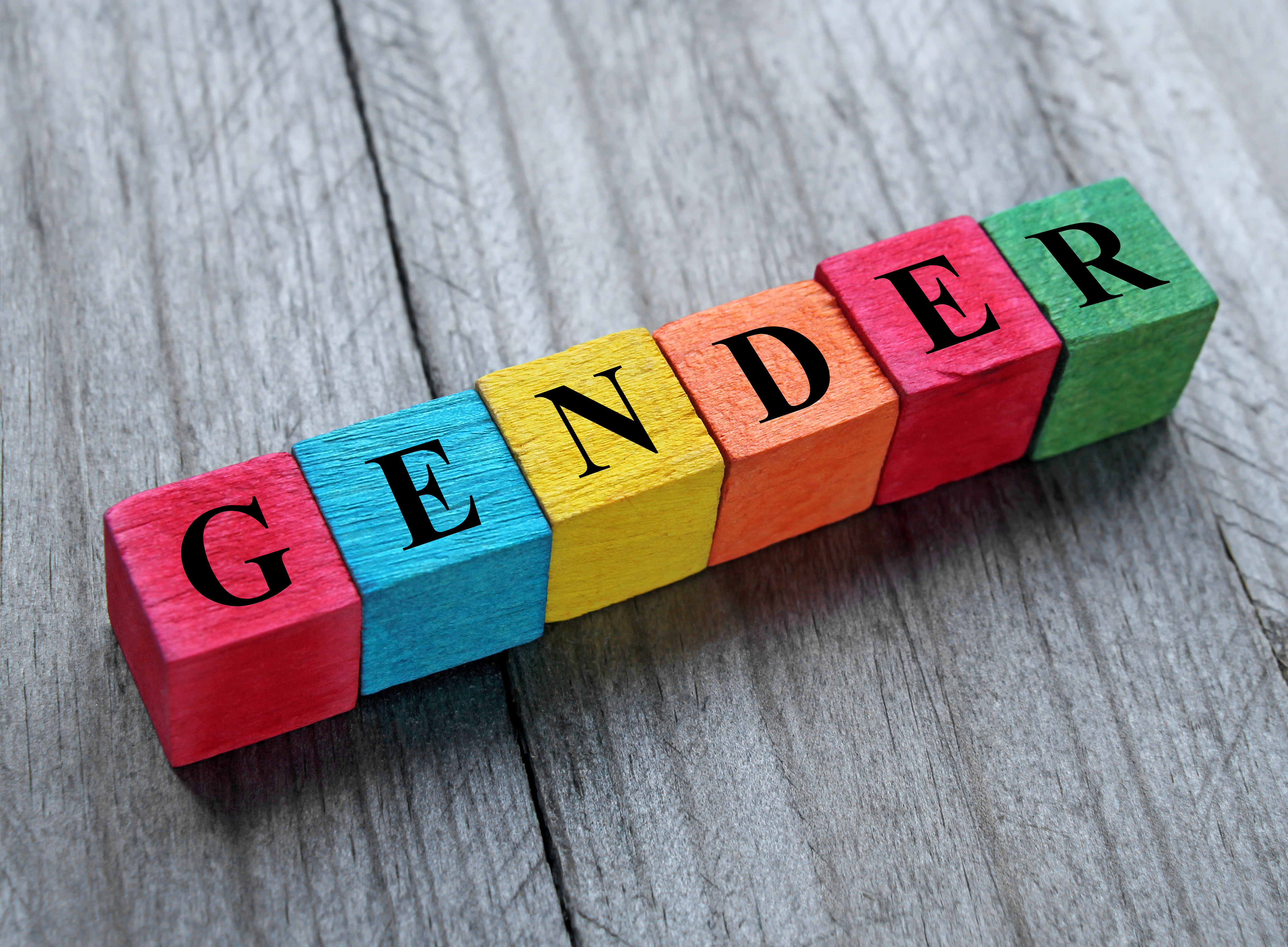 Würfel "Gender" 