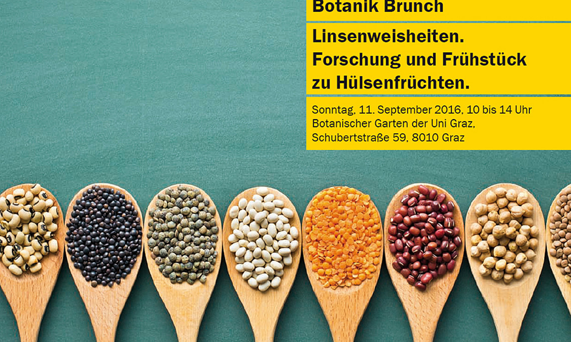 Frühstück und Forschung rund um Hülsenfrüchte serviert der nächste Botanik-Brunch. Foto: Jiri Hera/Fotolia.de