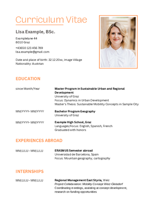 CV Vorlage 