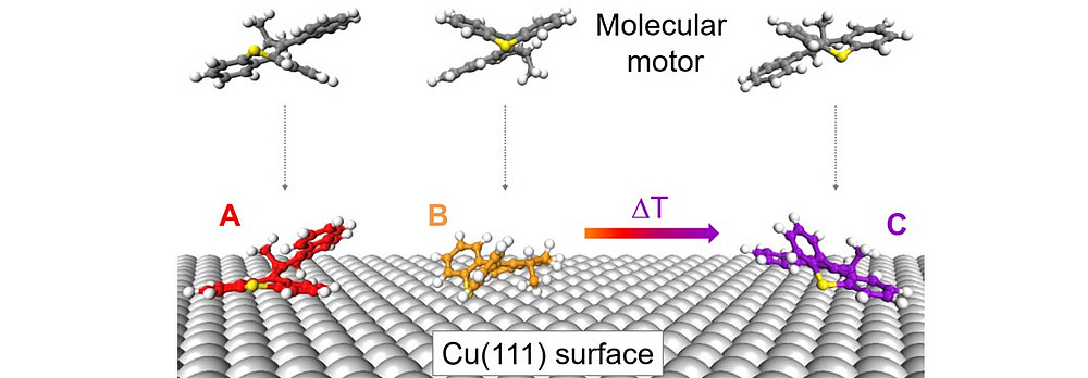 Inverted conformation stability of a motor molecule on a metal surface ©University of Graz, M. Schied, D. Prezzi, D. Liu, P. Jacobson, S. Corni, J. M. Tour and L. Grill