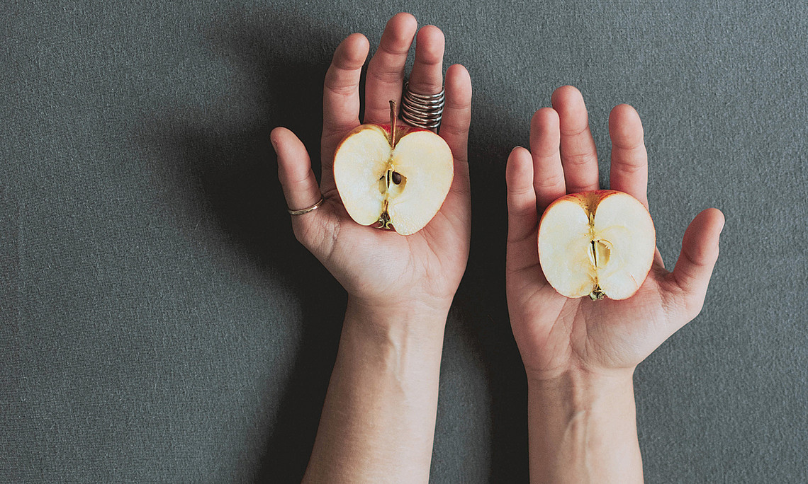 sliced apple, Beobachtungen bis zum Kern, Systemische Beratung
