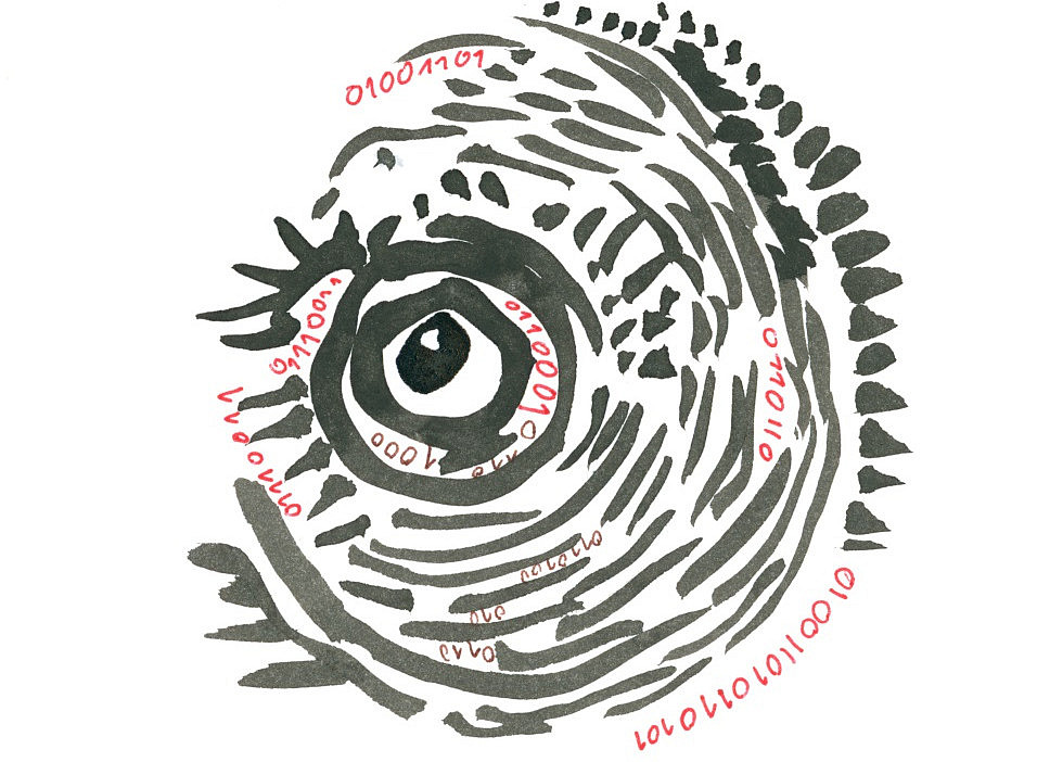 digitales Auge ©Barbara Reiter