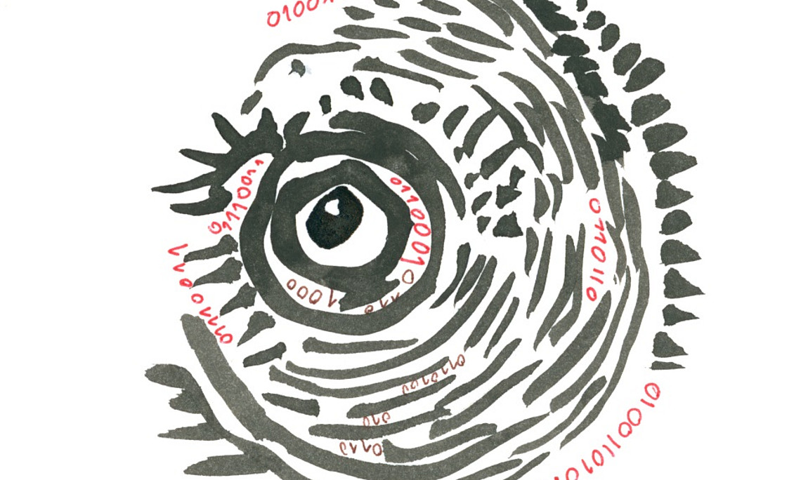 digitales Auge