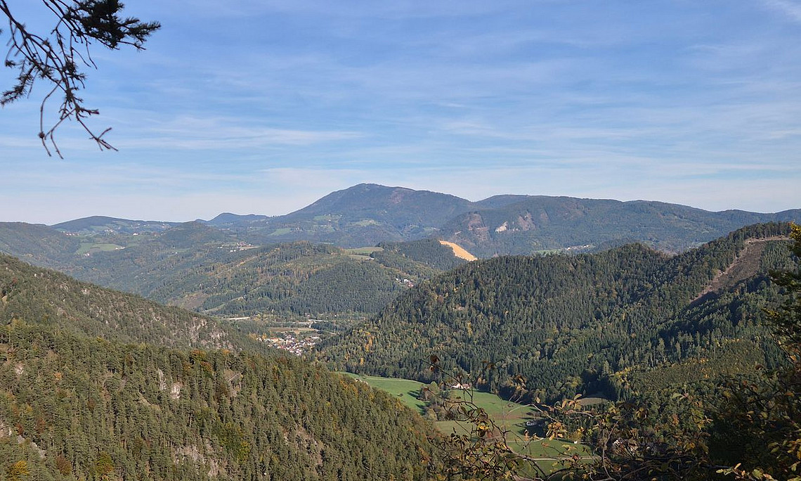 Ausblick