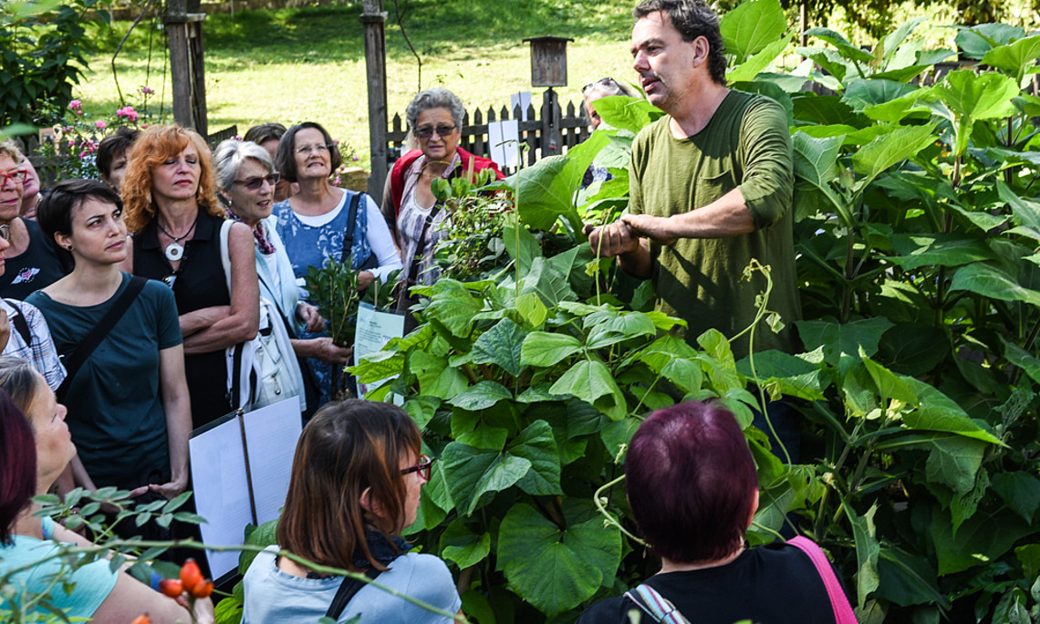 Tolle Knolle: Der Botanische Garten der Universität Graz lud zum "Brunchen" und auch zum Kennenlernen von bekanntem und rarem Wurzelgemüse. Fotos: Uni Graz/Schweiger