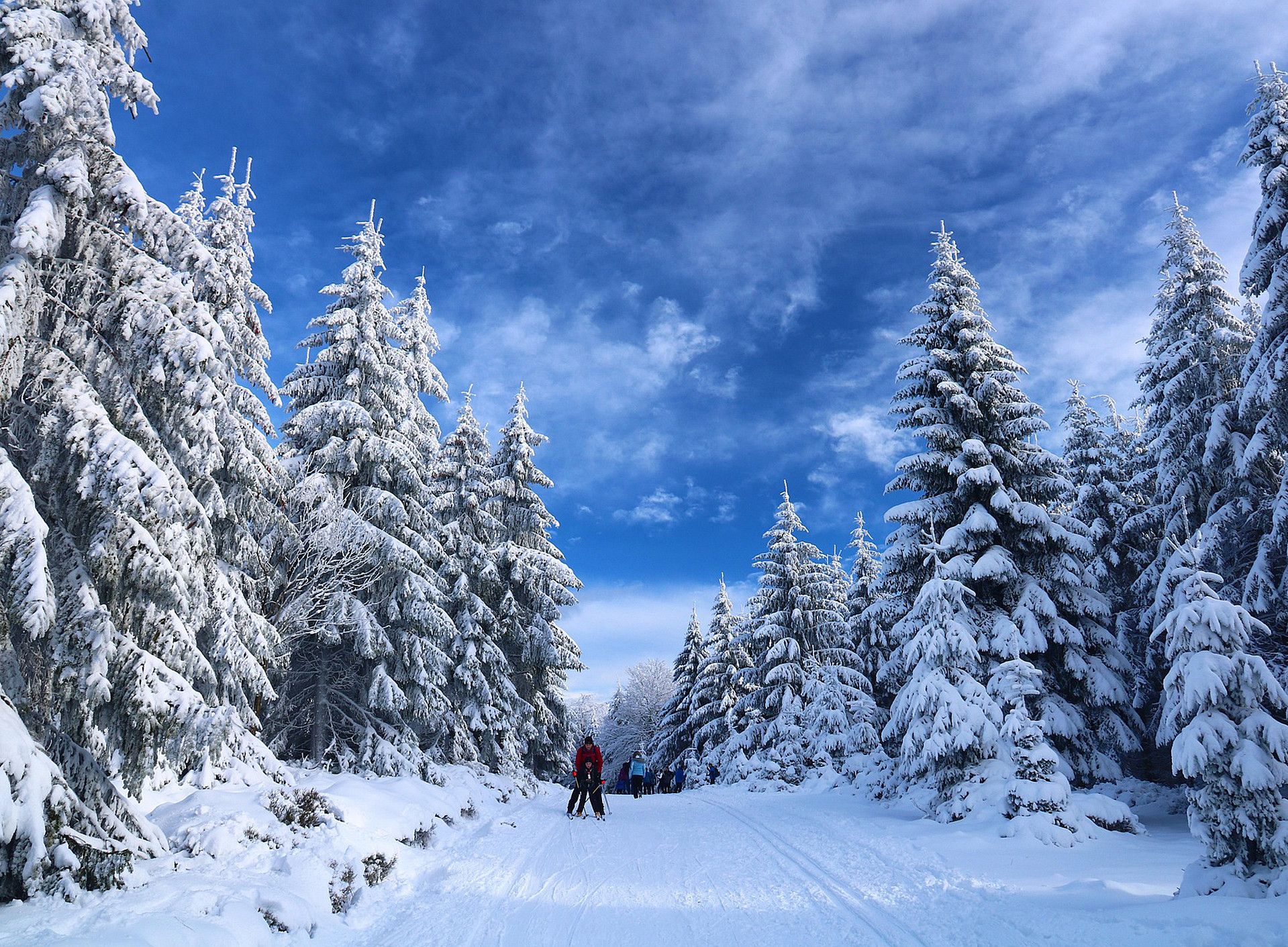 Eine Schneelandschaft mit einem Weg in der Mitte, auf dem Personen gehen. Rechts und links vom Weg sind schneebedeckte Bäume. ©Pixabay