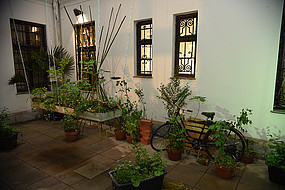 Es grünt im Innenhof des Uni-Museums. 