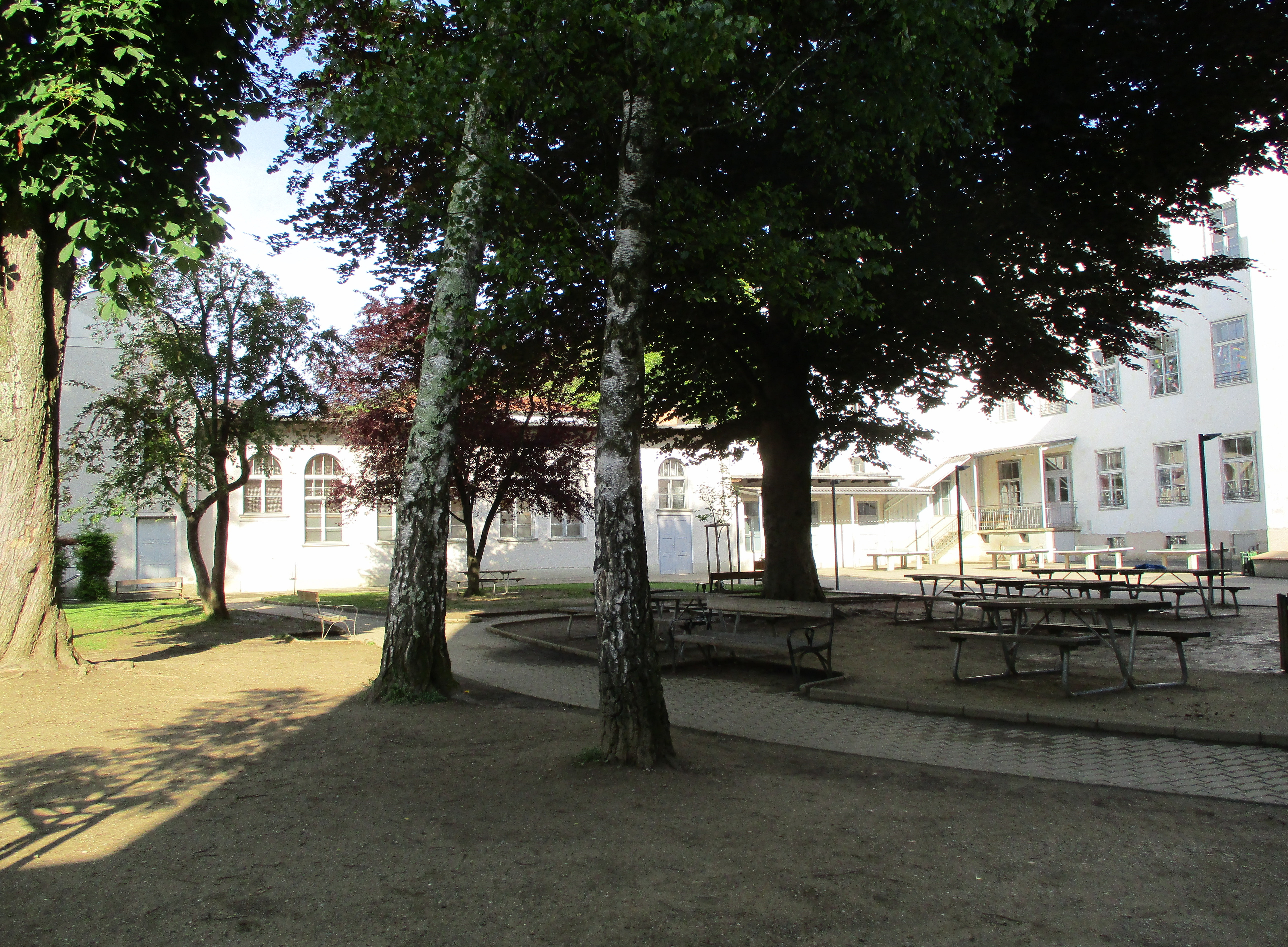 MS Leonhard Schulhof 