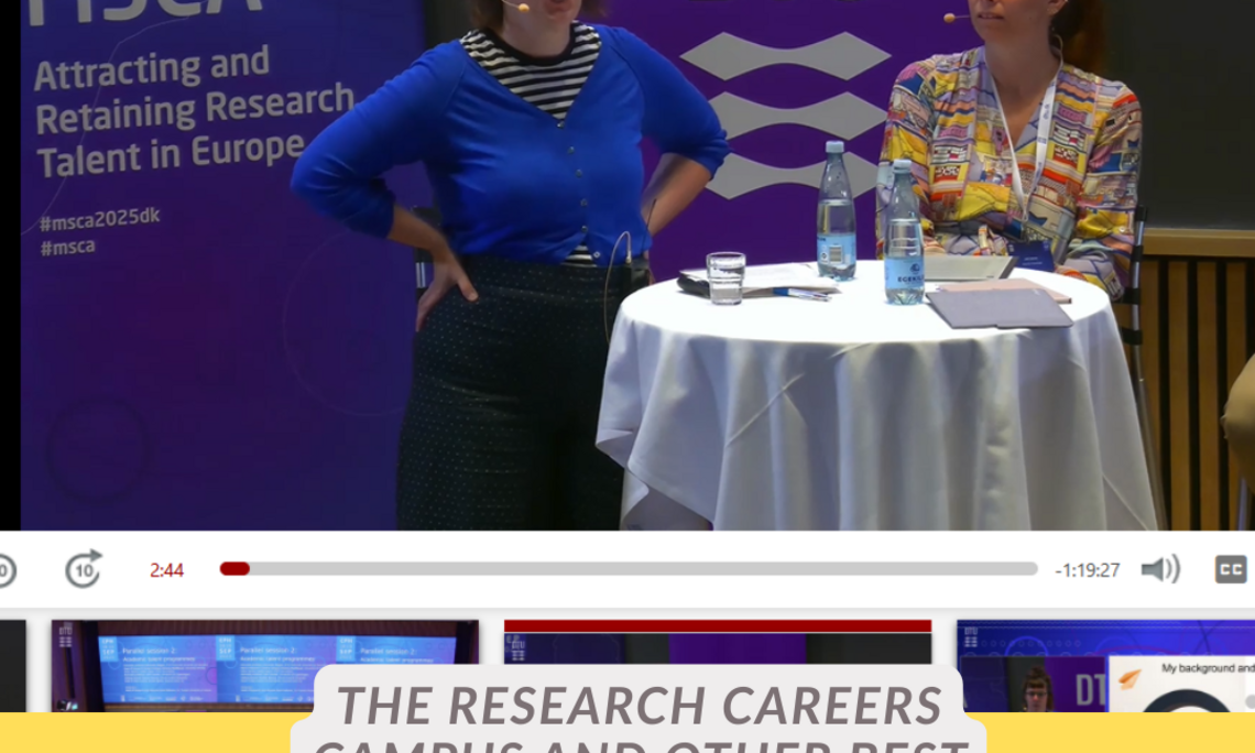 Screenshot von Paneldiskussion in Dänemark, (c) Stadlbauer