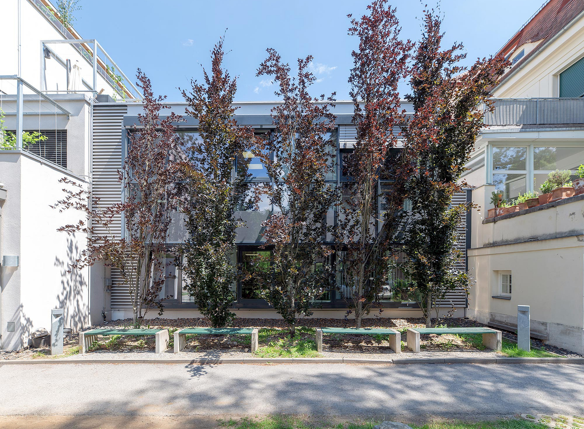 five columnar beech trees in front of a facade with windows on the ground floor and first floor ©Uni Graz/Angele