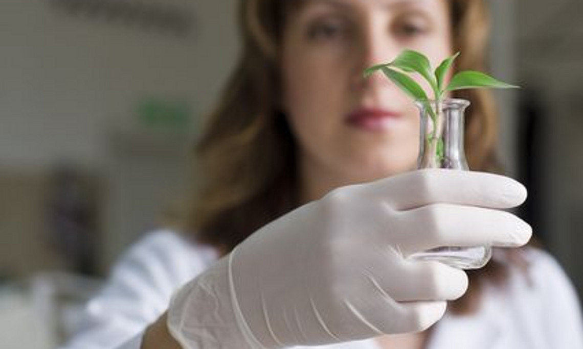 Wissenschaftlerin mit Reagenzglas 