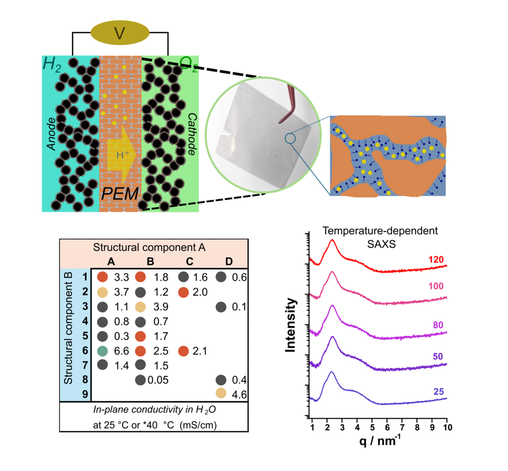 Membranes for fuel cells 
