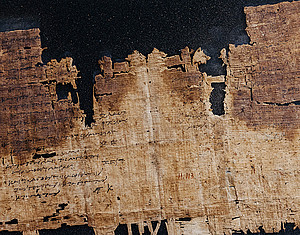 Papyrus ©Marija Kanizaj