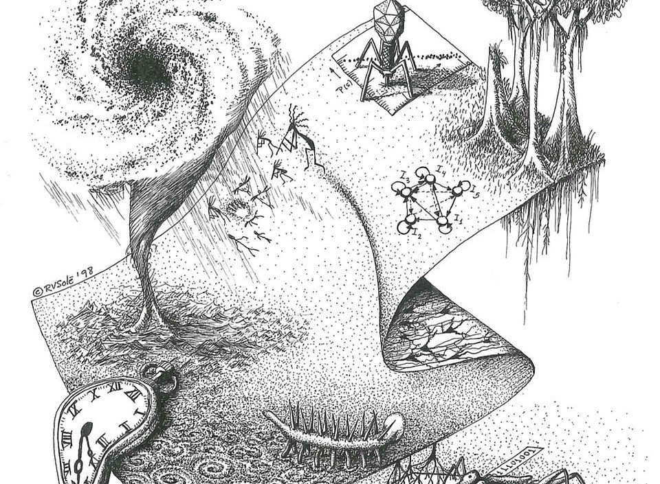 picture courtesy of Ricard Solé 