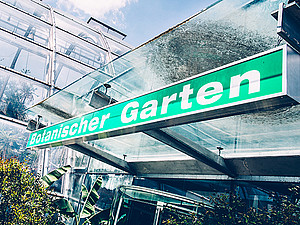 Botanischer Garten, Fotoarchiv OLG, Ort, Profifoto