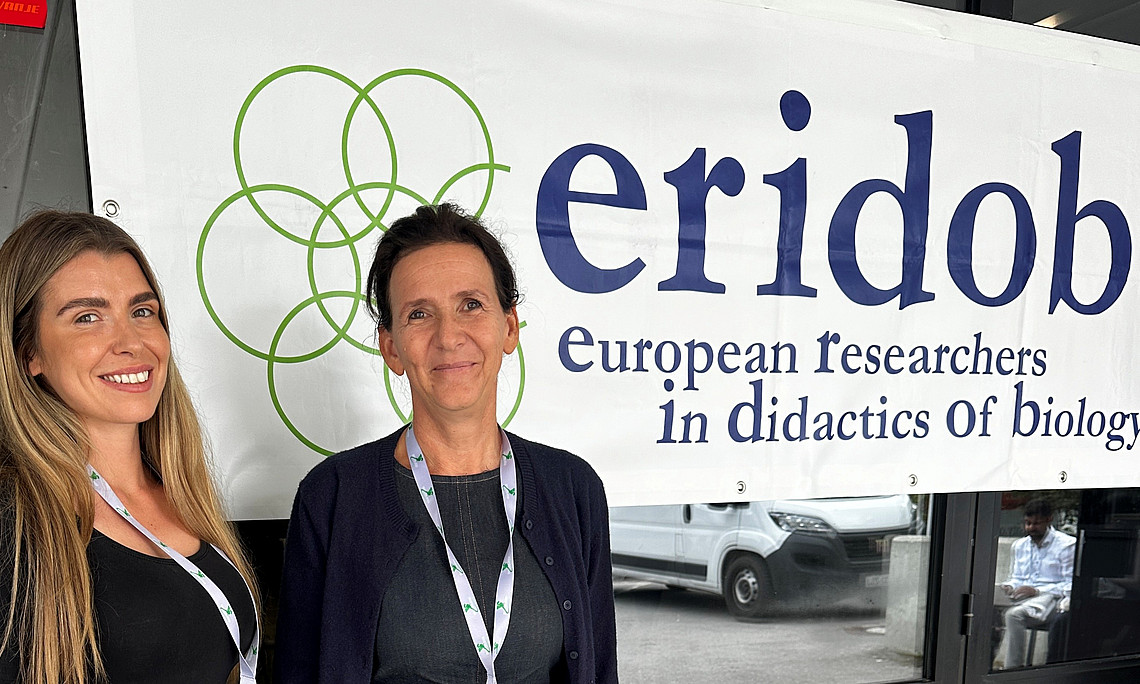 Eridob 26