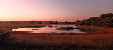 Waterhole sunrise 