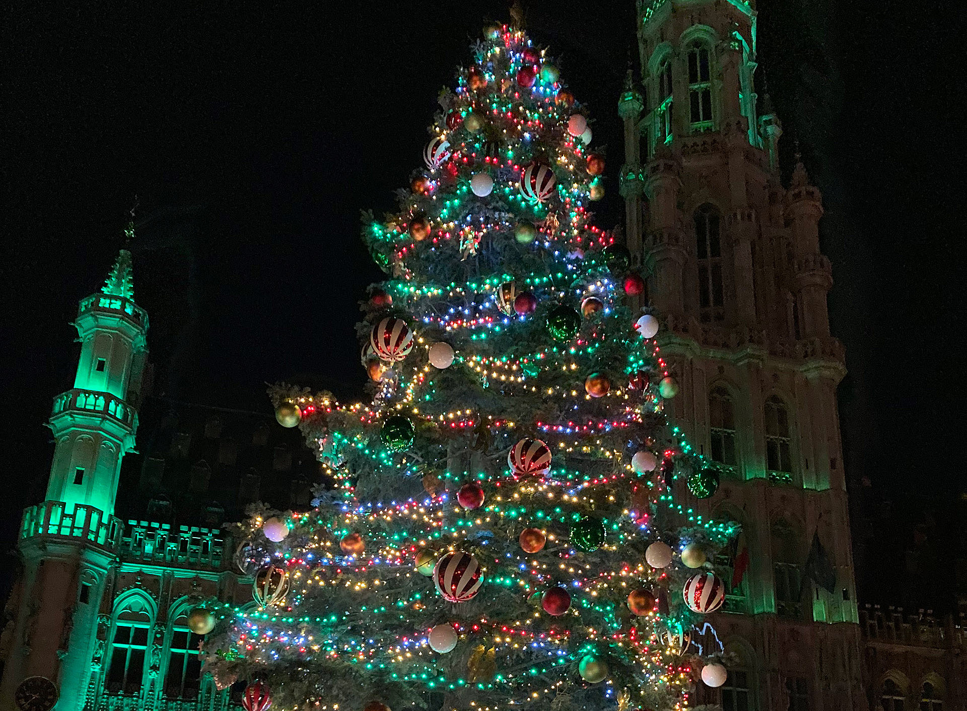 Weihnachtsbaum ©Verena Martelanz