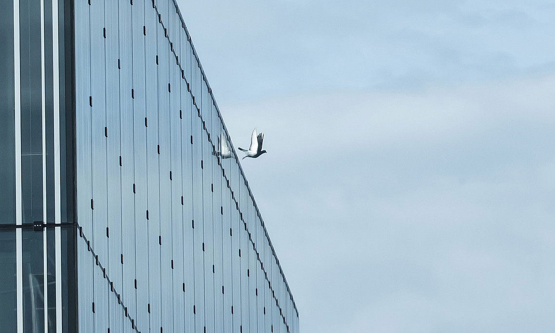 Picture: Uni Graz/Christa Strobl