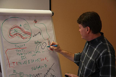 Modellierungswoche 2010 