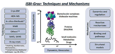 Integrative Structural Biology and Biophysics 