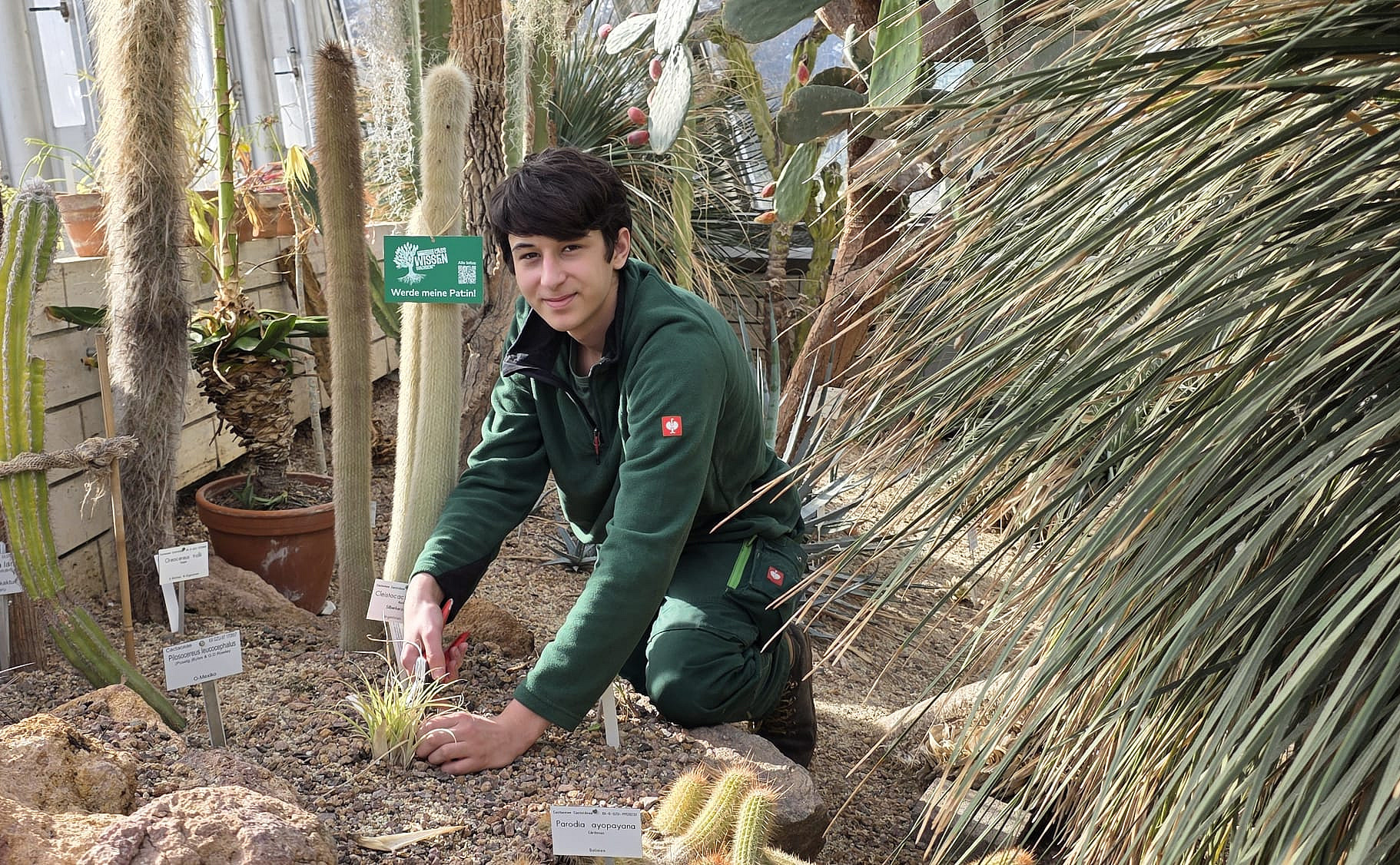 Mateus Patenschaften 2026 