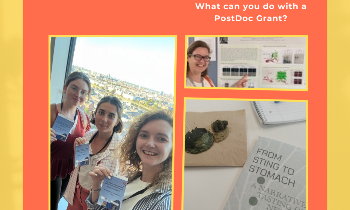 Collage aus Konferenz-Photos von Postdocs der Uni Graz