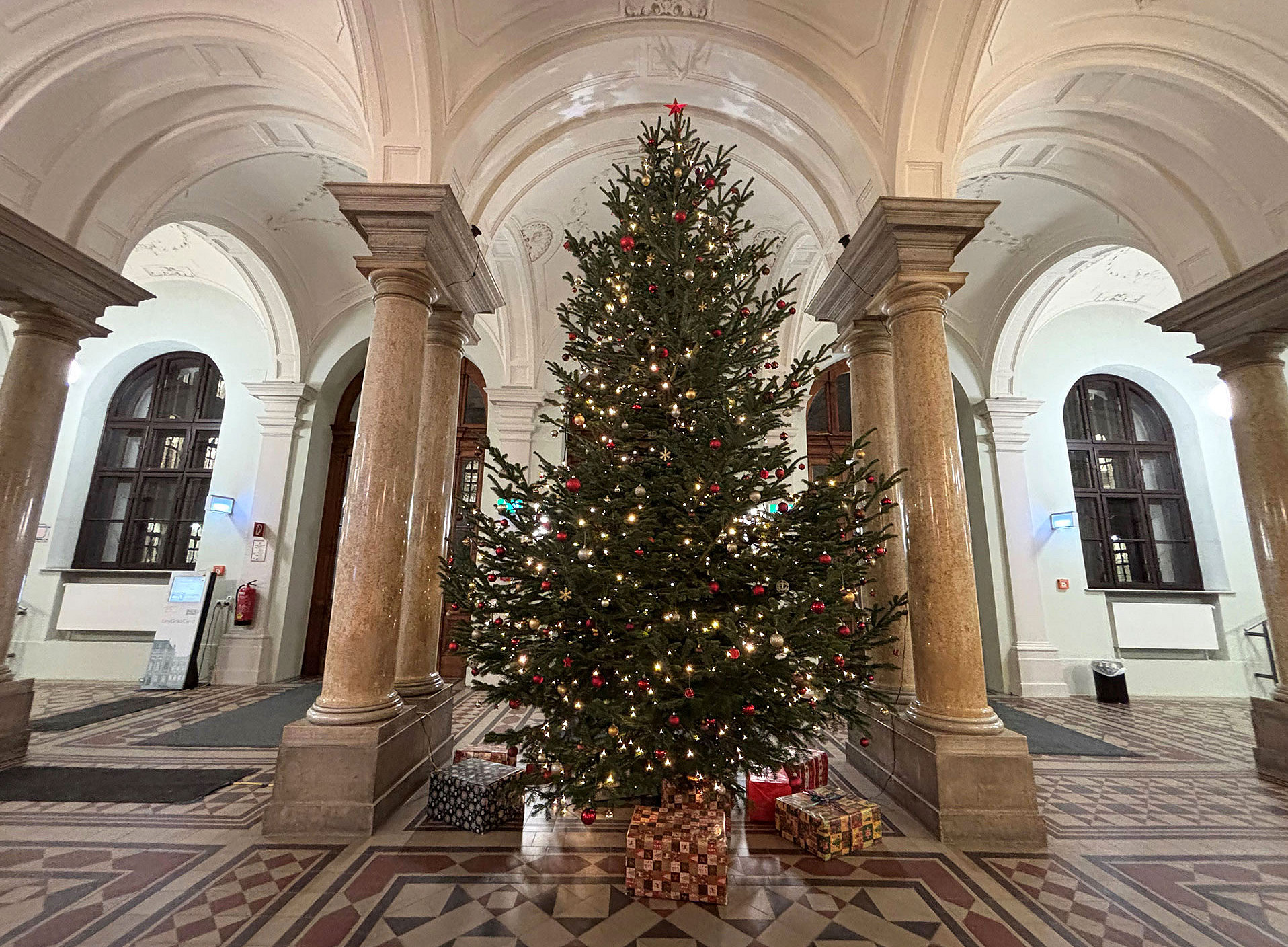 Weihnachtsbaum 