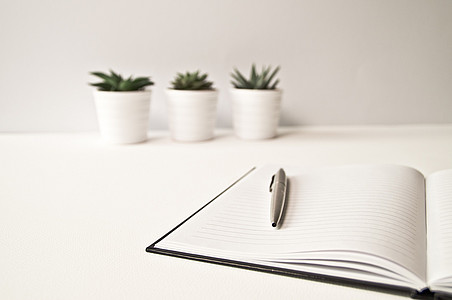 Beispielbild - 3 Pflanzentöpfe und Notizbuch mit Stift auf Tisch ©pixabay