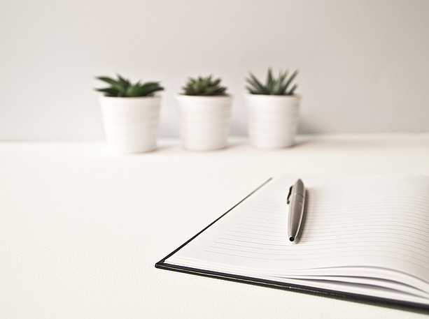 Example image - 3 plant pots and notebook with pen on table ©pixabay