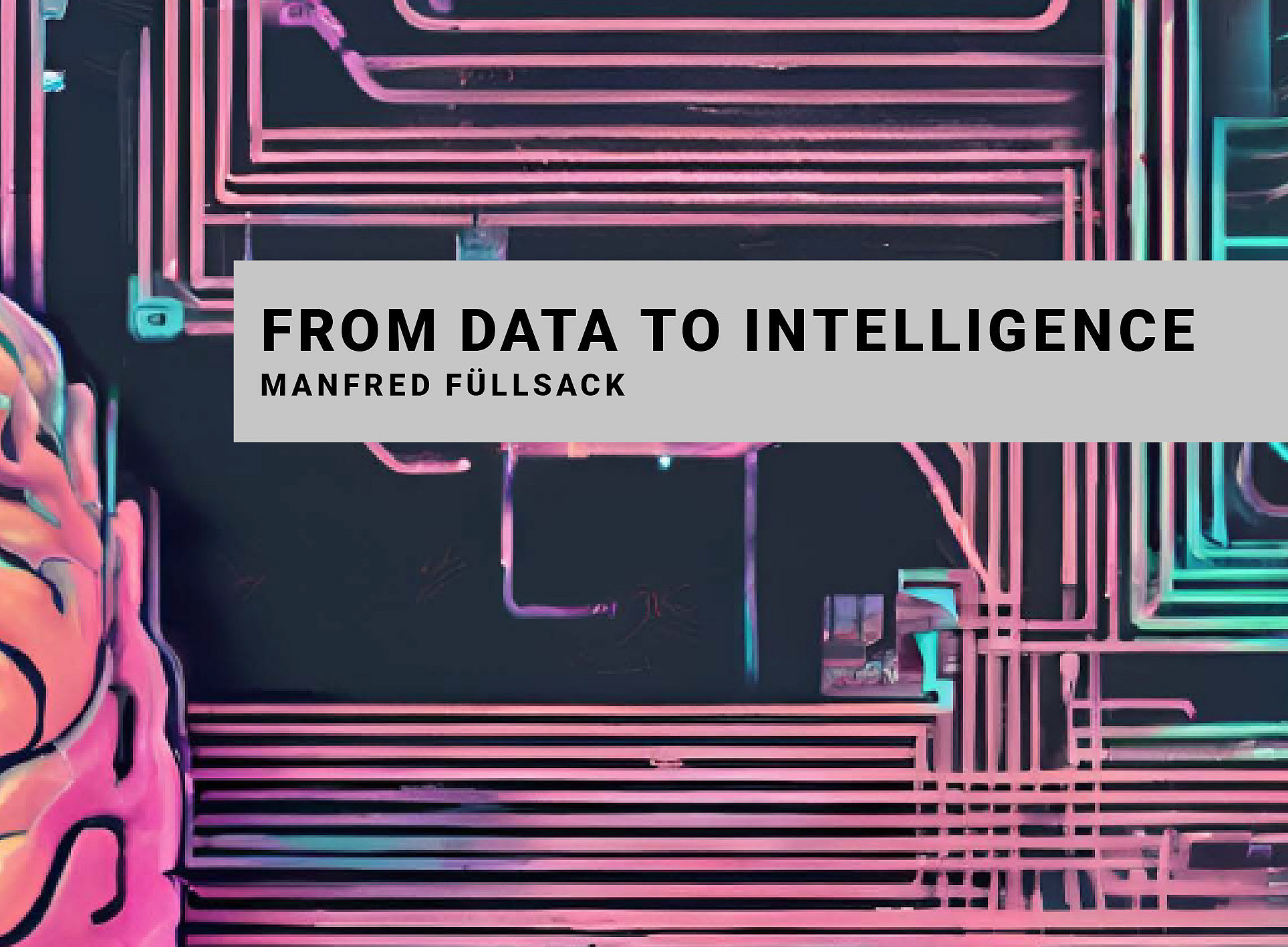 Manfred Füllsack: From Data to Ingelligence 