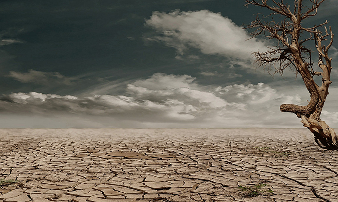 Der Klimabericht des Intergovernmental Panel on Climate Change (IPCC) belegt: Extremereignisse wie Hitzewellen, Starkregen und Dürren treten häufiger und heftiger auf. Handeln ist jetzt gefragt. Foto: pexels.com