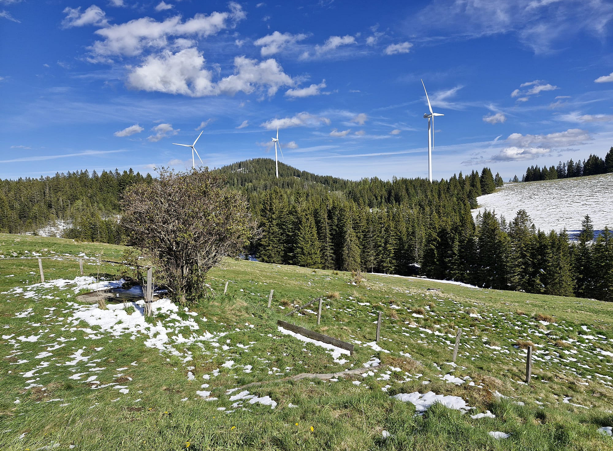 Exkursion zum Windpark Freiländeralm ©Pirstner-Ebner