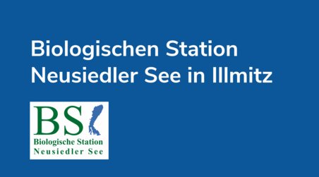 Link zur Biologischen Station Neusiedler See in Illmitz 