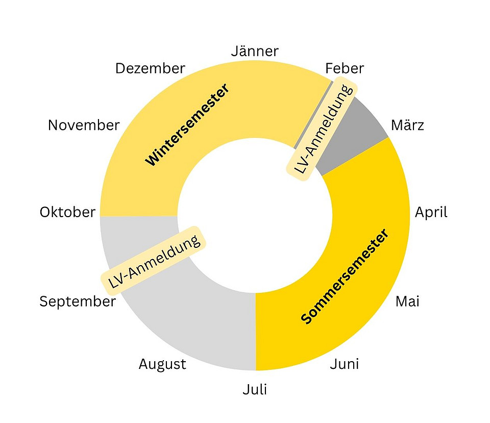 Tabelle Einteilung des Studienjahres in einem Kreisdiagramm