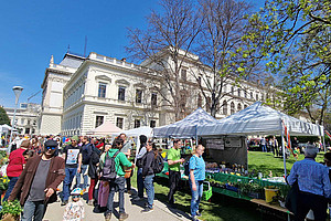 Prächtige Pflanzen und Prachtwetter beim Raritätenmarkt. Fotos: Uni Graz/Grube