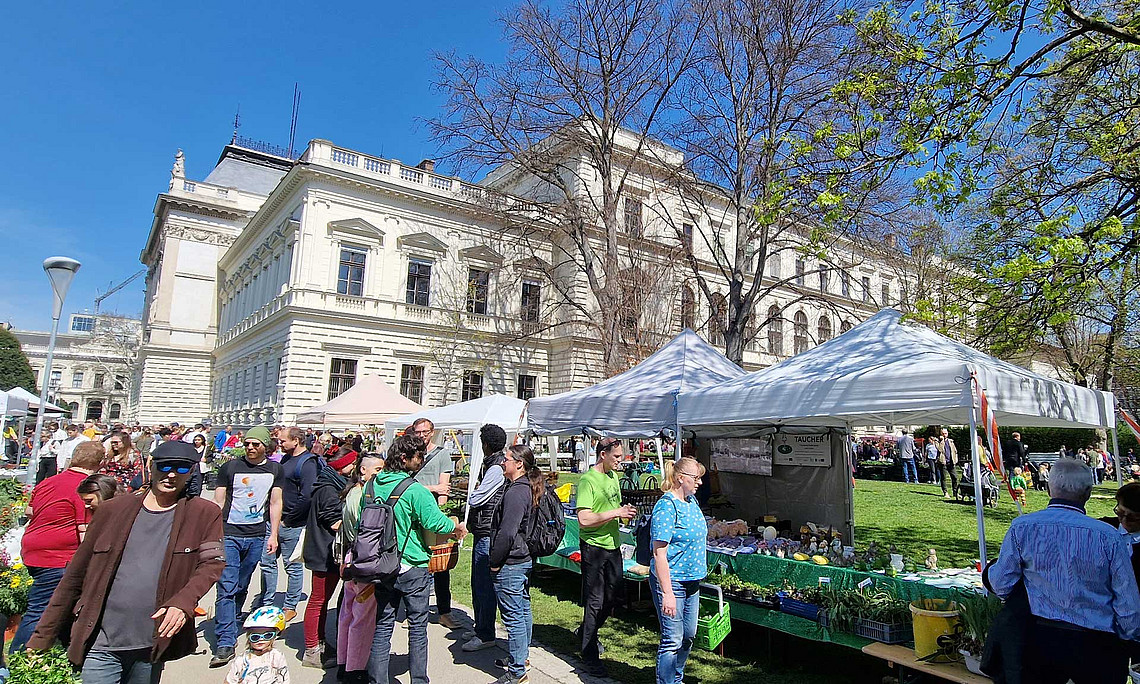 Prächtige Pflanzen und Prachtwetter beim Raritätenmarkt. Fotos: Uni Graz/Grube