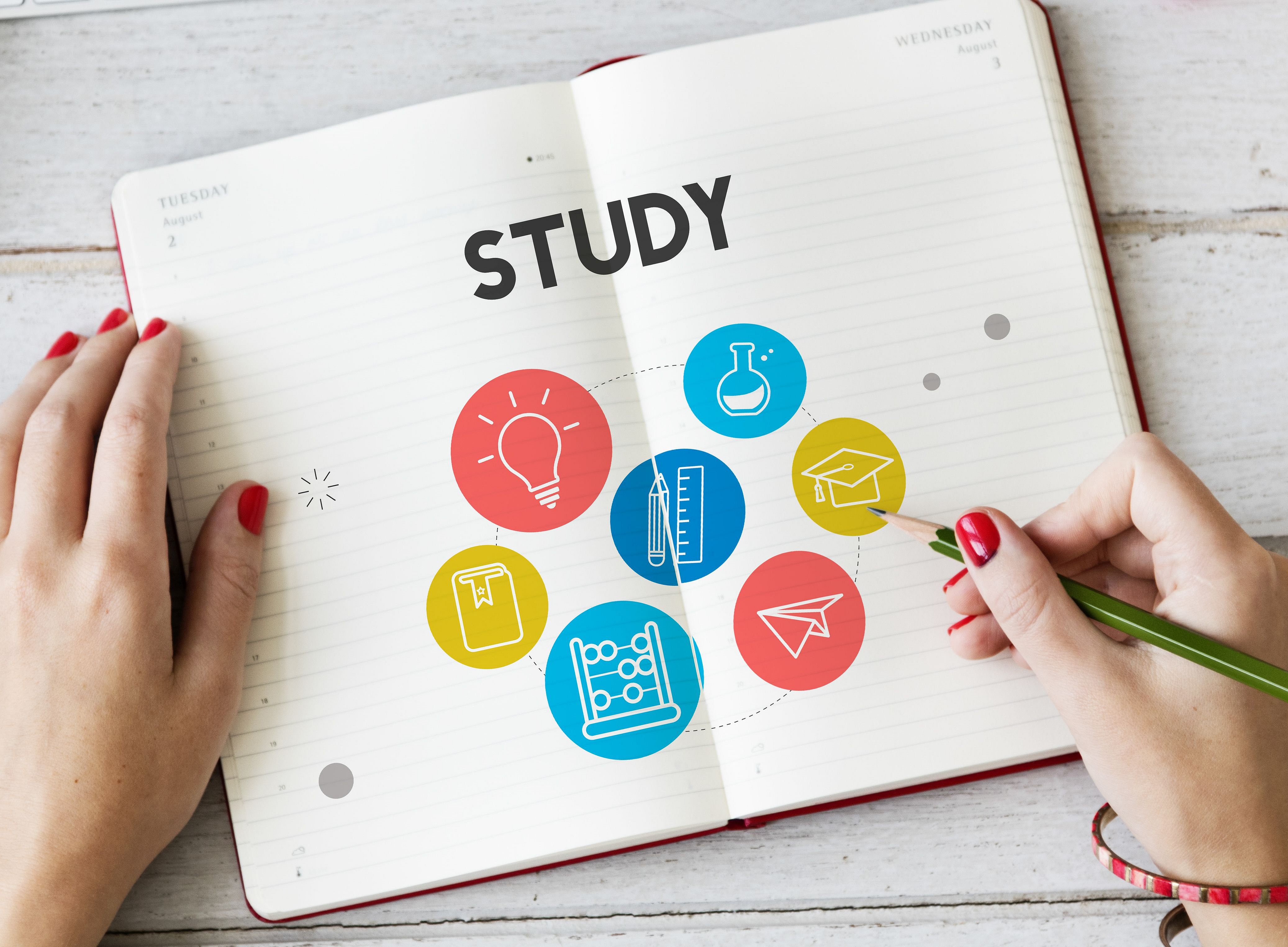 Studienplan neu ©Rawpixel Ltd.