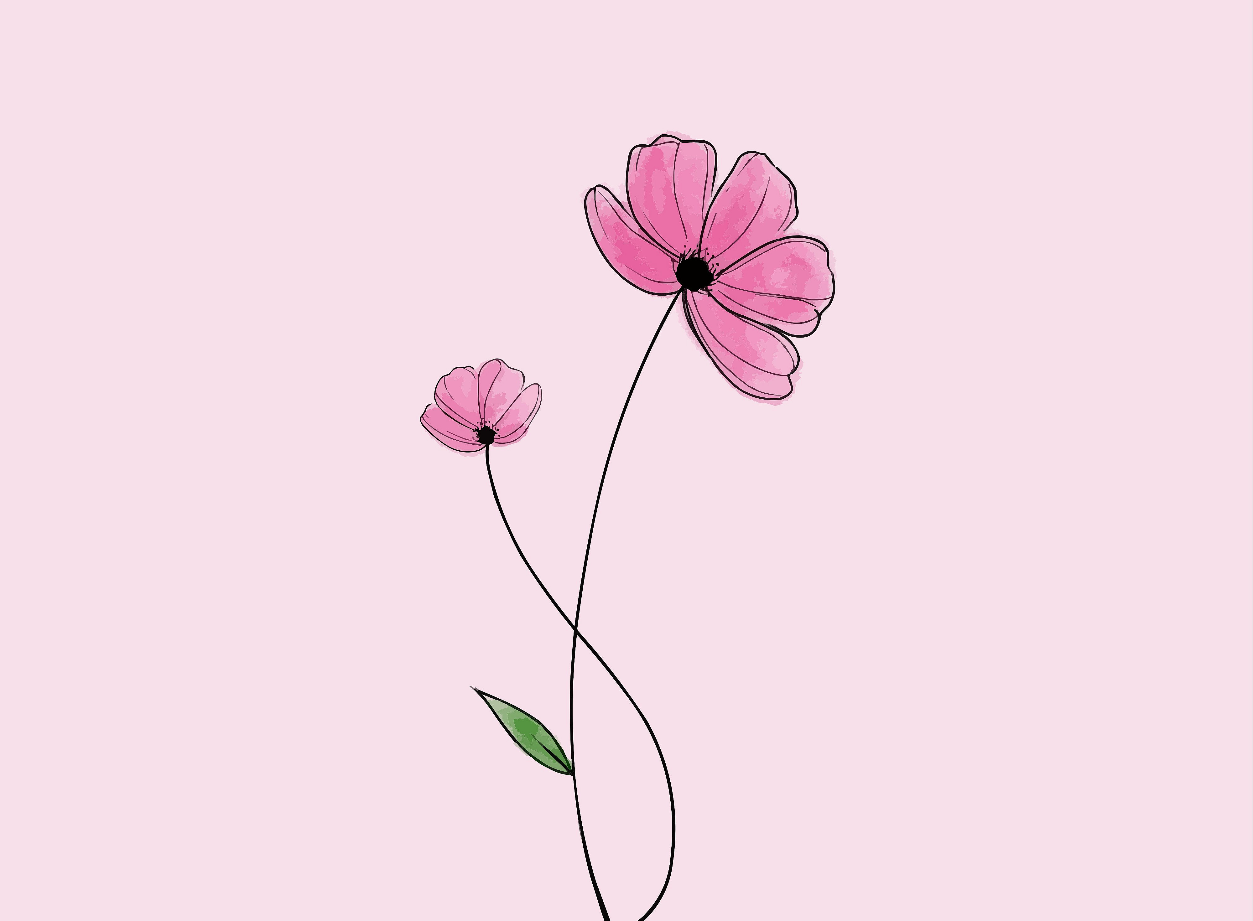 Zarte Blume auf rosarotem Hintergrund ©Pragati Choudhari/unsplash.com