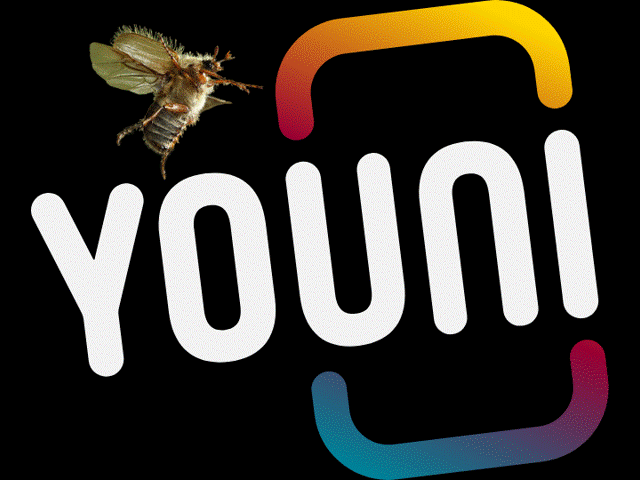 youni Logo mit Juni Käfer 